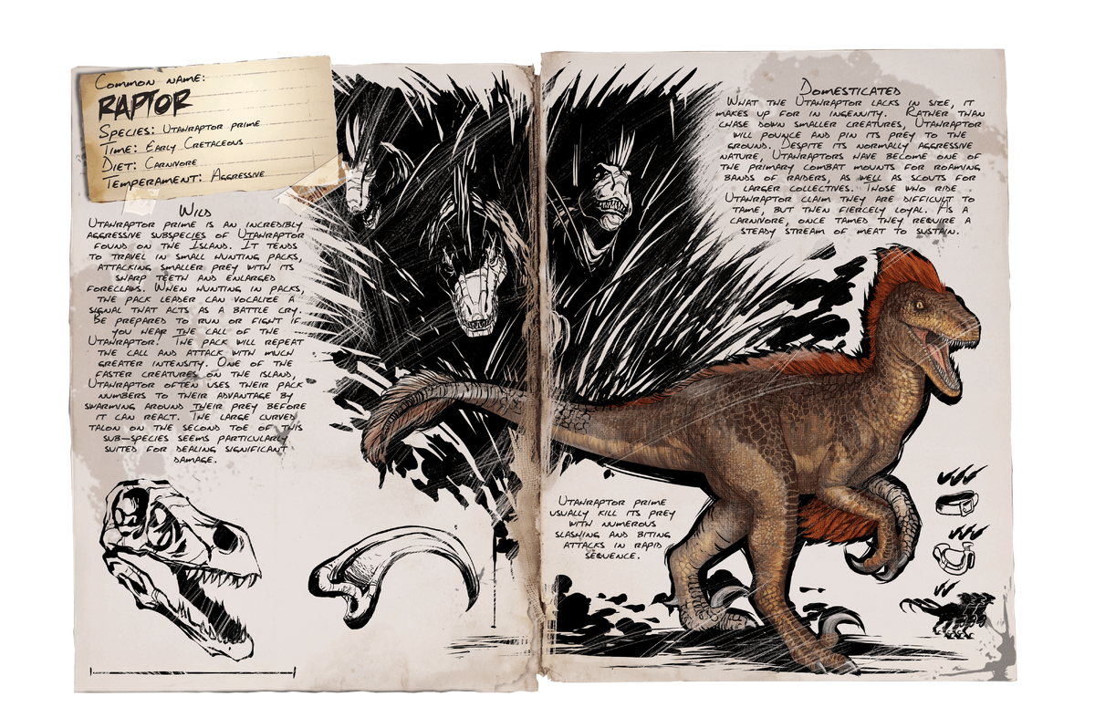 Raptor Official Ark Survival Evolved Wiki