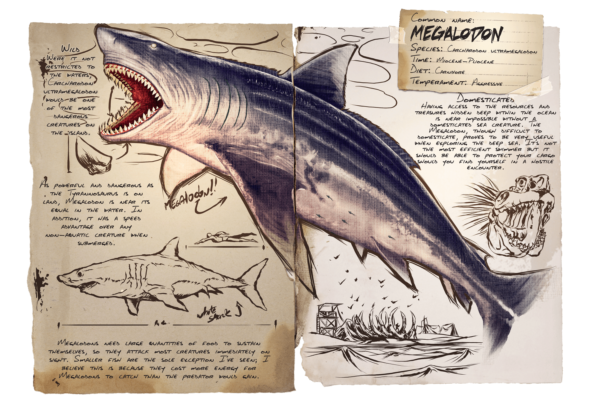 Megalodon Official Ark Survival Evolved Wiki