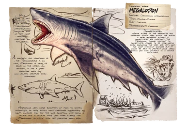 Dossier Megalodon