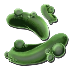 Reaper Pheromone Gland (Aberration)