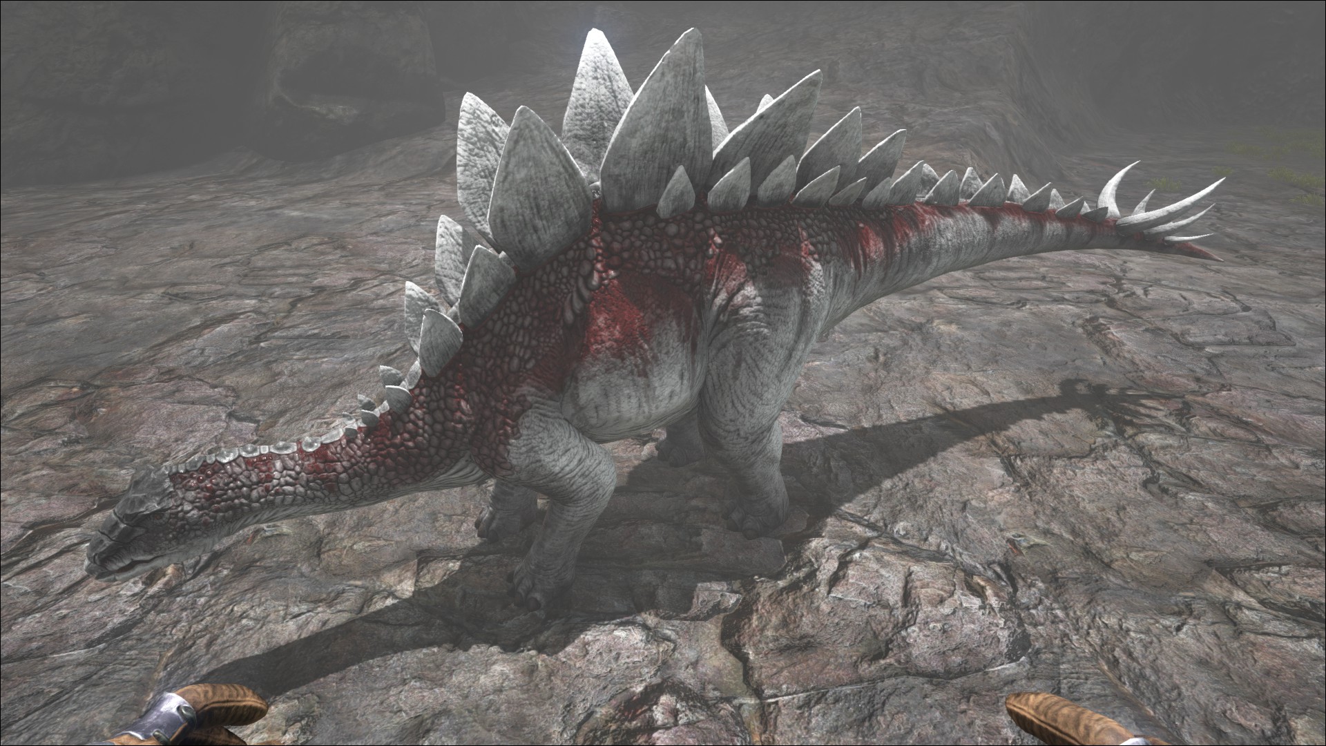 ステゴサウルス 公式ark Survival Evolvedウィキ