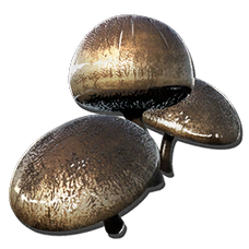アガーラビック マッシュルーム Aberration 公式ark Survival Evolvedウィキ アガーラビック マッシュルーム Aberration 公式ark Survival Evolvedウィキ