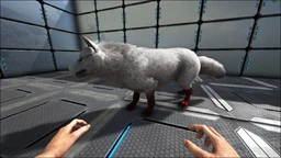 Direwolf PaintRegion5