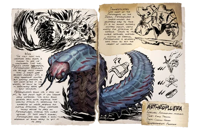 Dossier Arthropluera