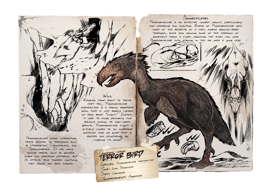 Terror Bird - ARK: Survival Evolved Wiki