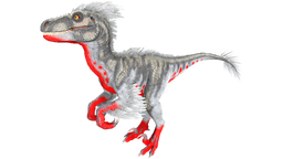 X-Raptor PaintRegion3.jpg