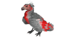 Argentavis PaintRegion5.jpg