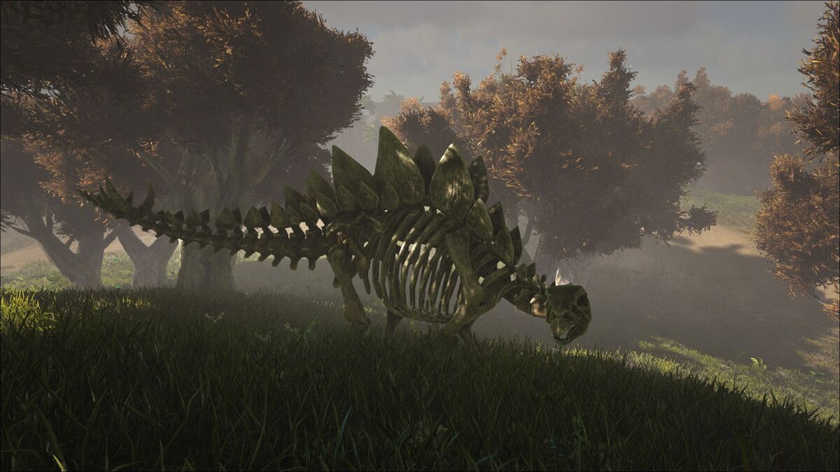 スケルタル ステゴサウルス 公式ark Survival Evolvedウィキ スケルタル ステゴサウルス 公式ark Survival Evolvedウィキ
