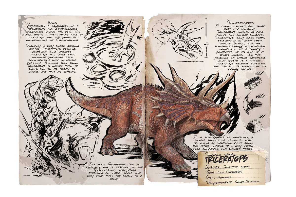 Triceratops Official Ark Survival Evolved Wiki