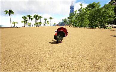 Mod Ark Eternal Treasure Turkey Image.jpg