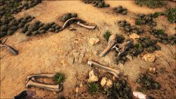 塩 Scorched Earth Ark Survival Evolvedウィキ