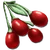 Tintoberry