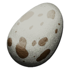 Dodo Egg