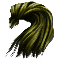 Viking Beard Facial Hair Style - ARK: Survival Evolved Wiki Viking Beard Facial Hair Style - ARK: Survival Evolved Wiki