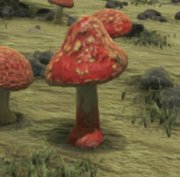 Mushroom with red stem