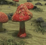 Champignon rouge toxique de la zone verte, avec son pied rouge.
