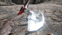 Ptera PaintRegion2.jpg