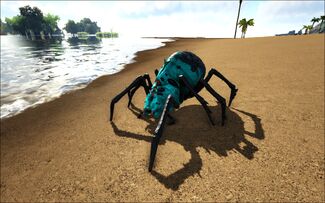 Prime Araneo Official Ark Survival Evolved Wiki You can use the summon command. prime araneo official ark survival