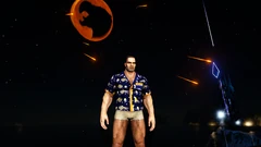 ゲーム内での姿