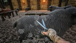 はさみ 公式ark Survival Evolvedウィキ はさみ 公式ark Survival Evolvedウィキ