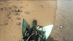 1st person view when riding