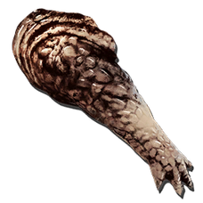 アルファ カルノタウルスの腕 公式ark Survival Evolvedウィキ アルファ カルノタウルスの腕 公式ark Survival Evolvedウィキ