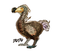 Dossier Dodo Character.png