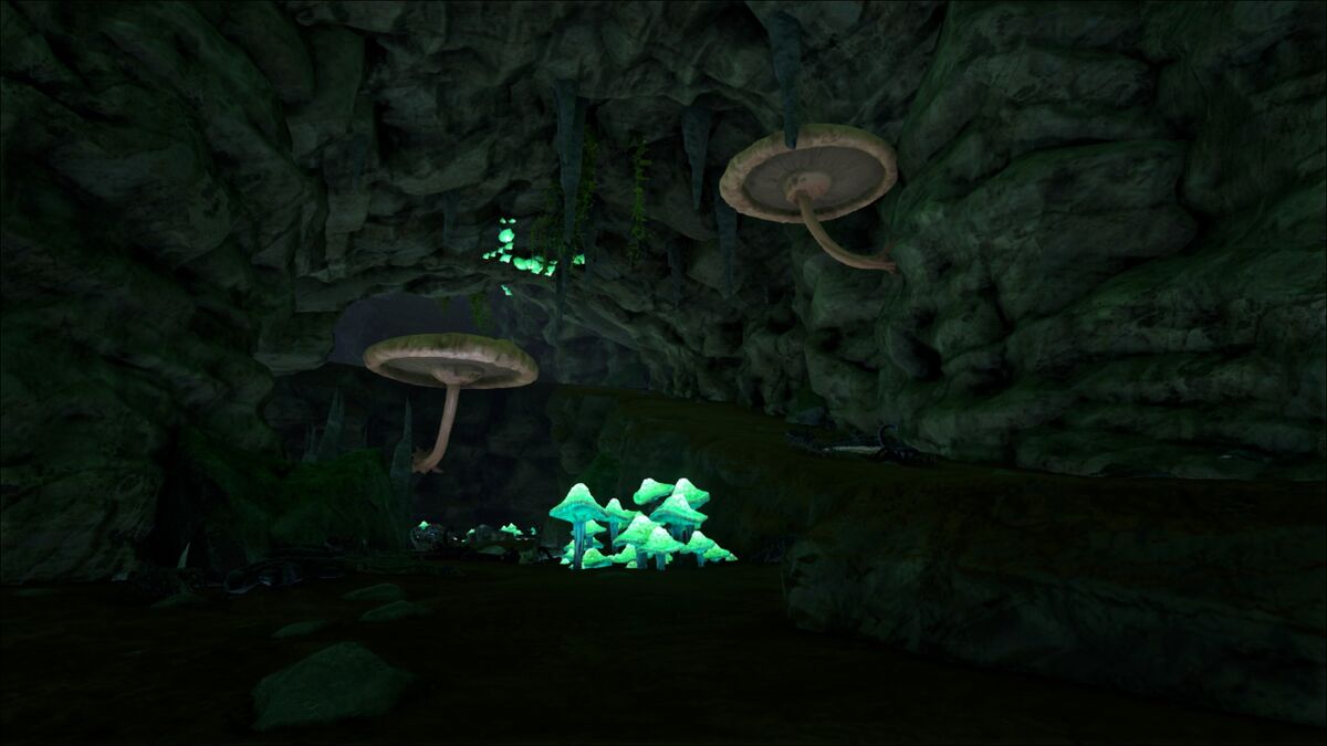 Jungle Cave The Center Official Ark Survival Evolved Wiki