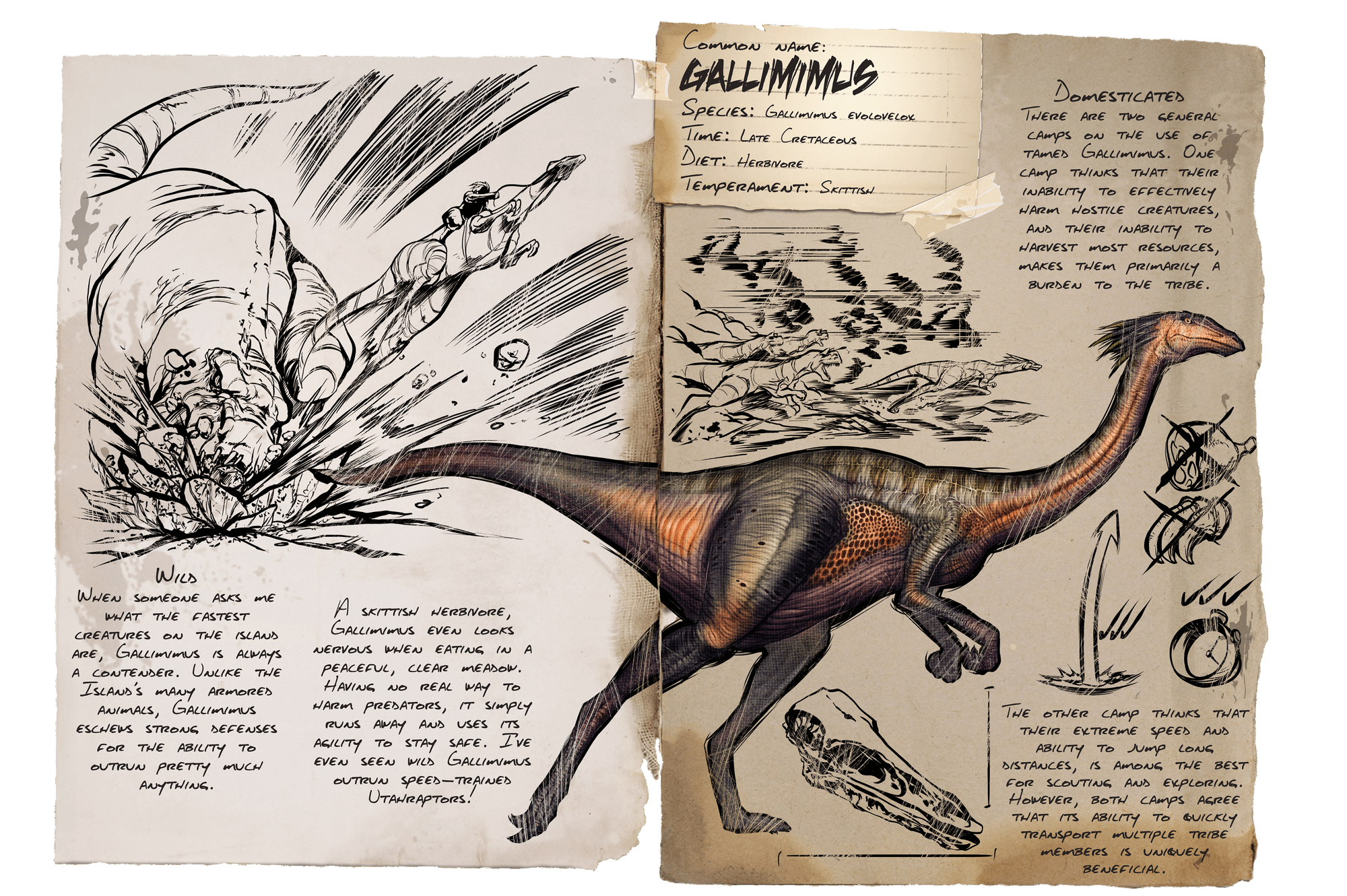 Gallimimus Official Ark Survival Evolved Wiki