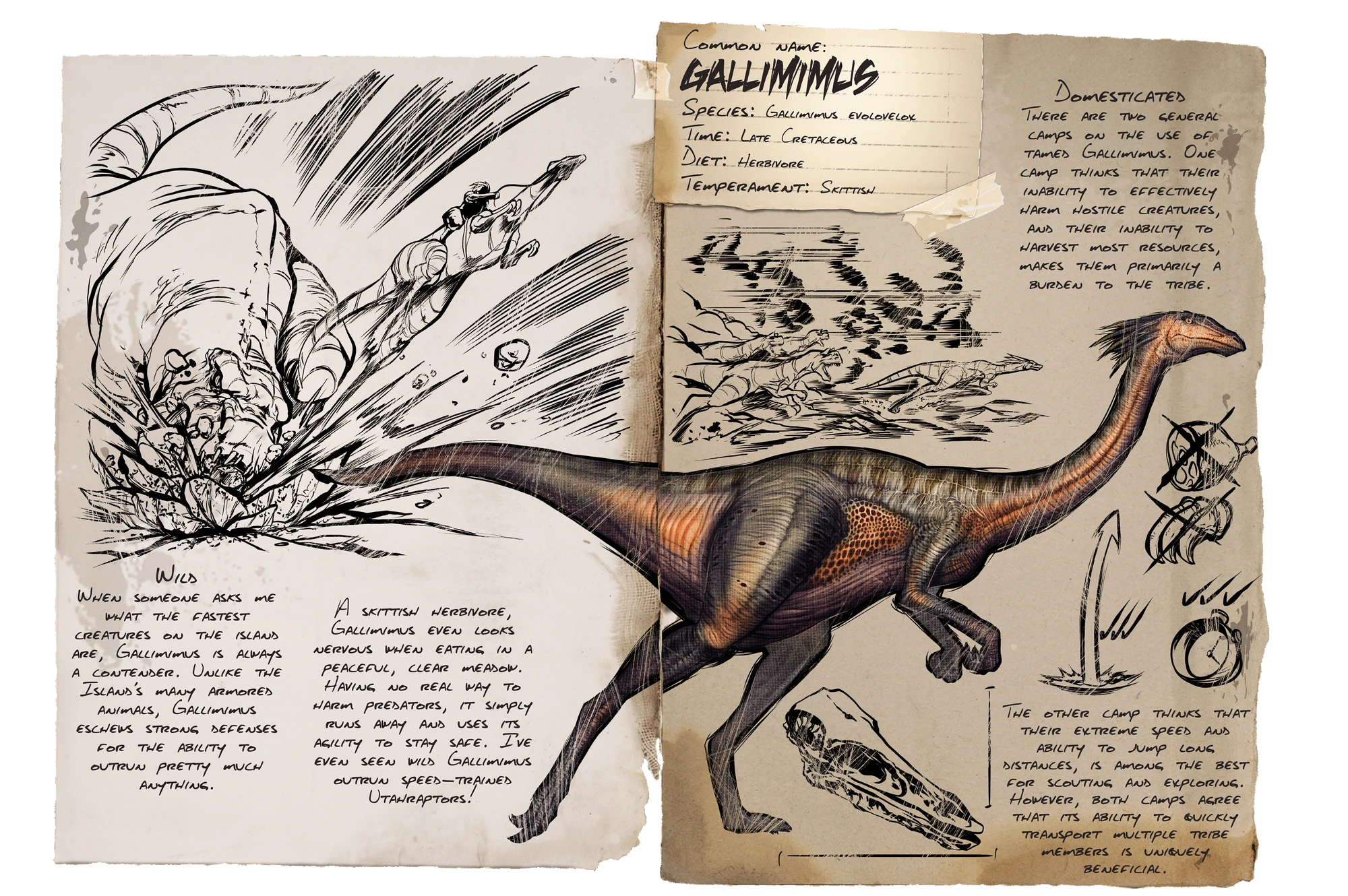Gallimimus Official Ark Survival Evolved Wiki
