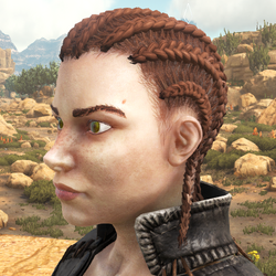 Hairstyles Official Ark Survival Evolved Wiki
