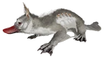 Maewing PaintRegion3