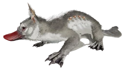 Maewing Official Ark Survival Evolved Wiki