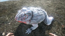 Beelzebufo PaintRegion5