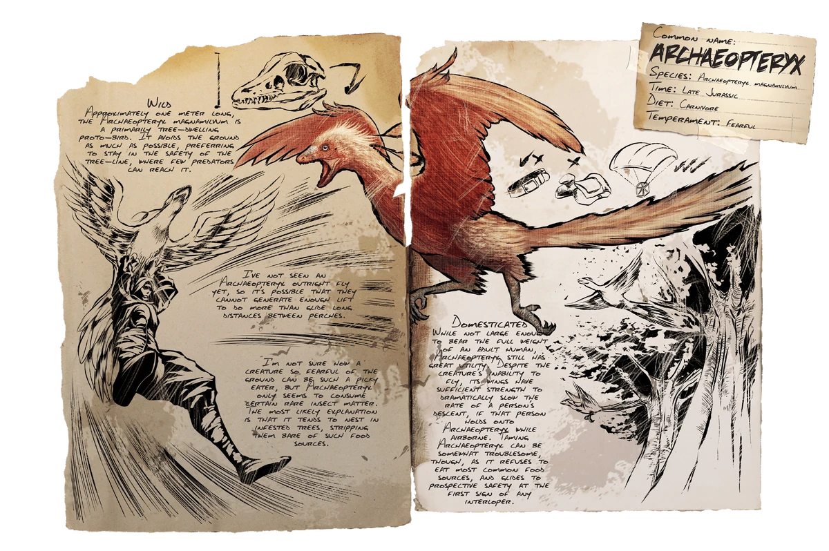 Archaeopteryx Official ARK Survival Evolved Wiki