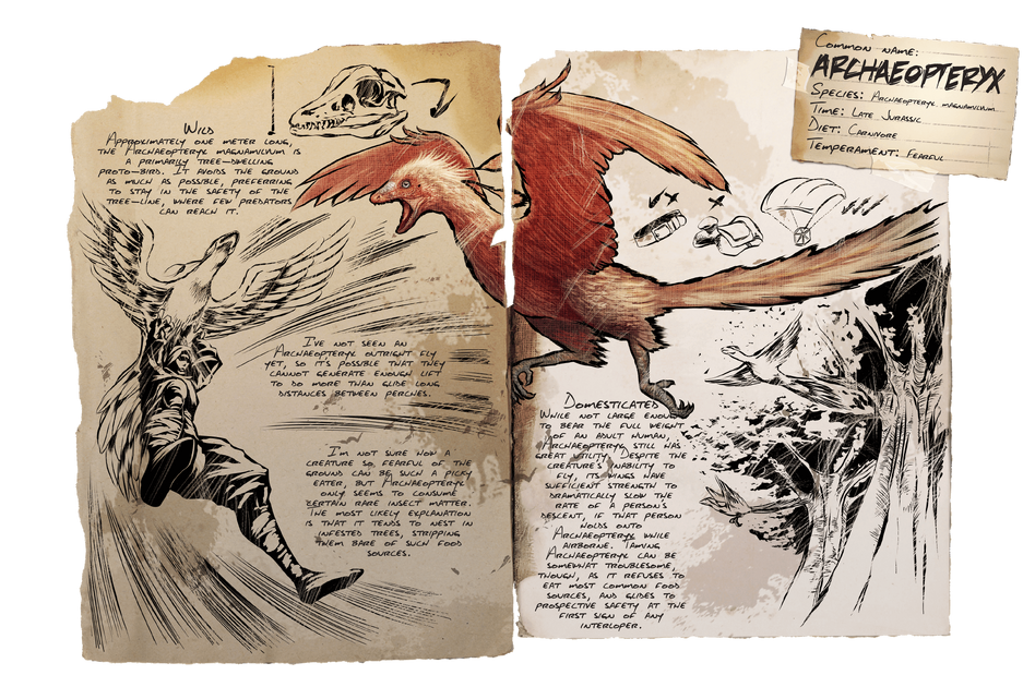 Archaeopteryx ARK Survival Evolved Wiki