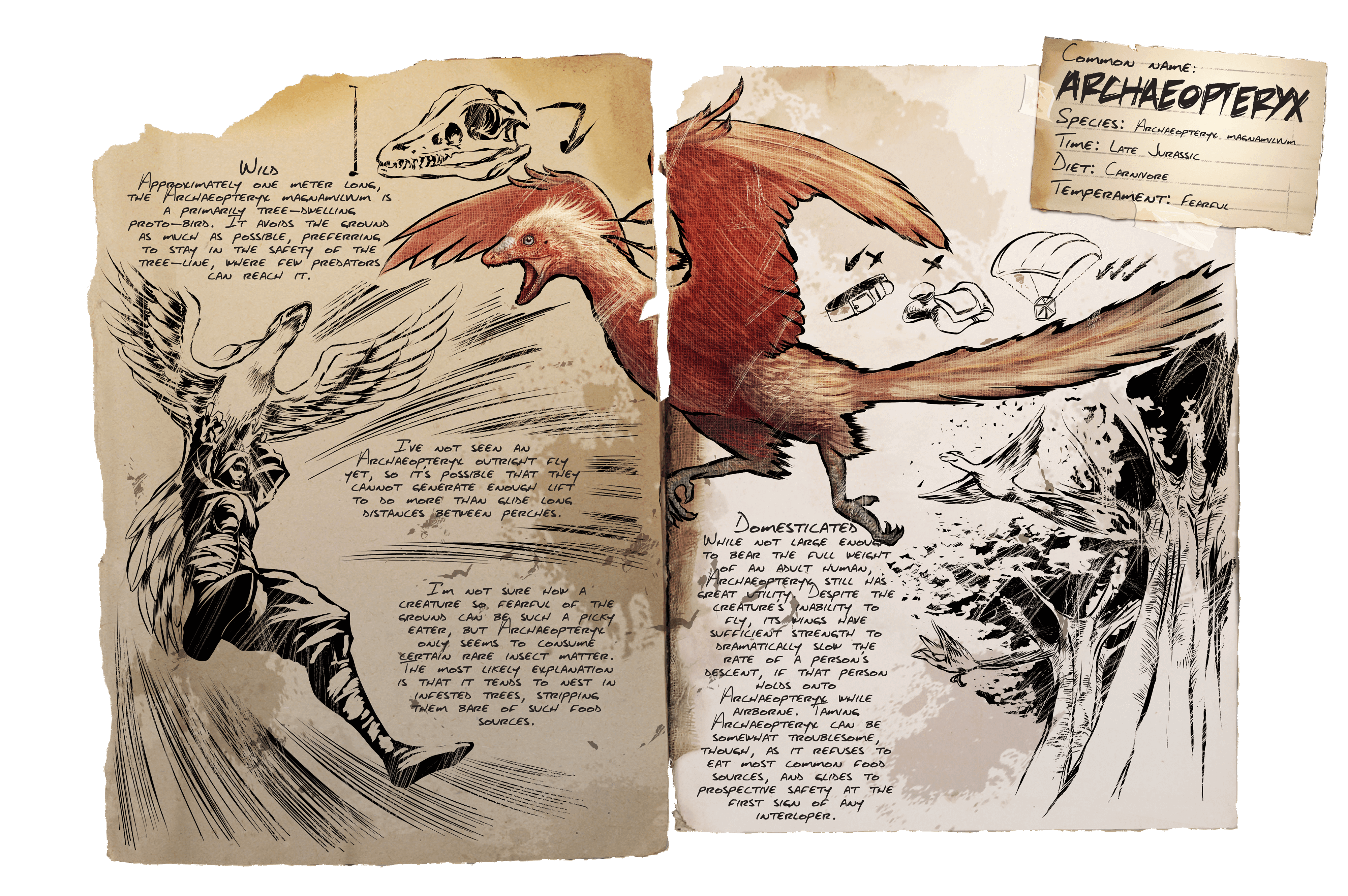 Archaeopteryx ARK Survival Evolved Wiki