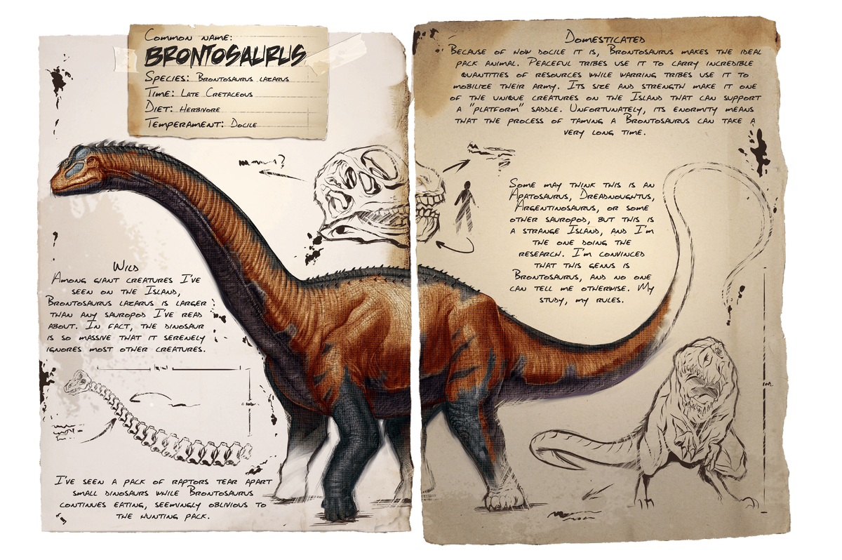 Brontosaurus Official Ark Survival Evolved Wiki