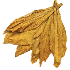 Fresh Tobacco (Primitive Plus)