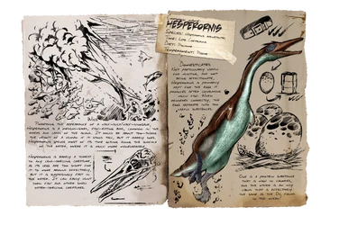 Dossier Hesperornis.png