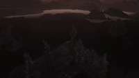 Oil Bog (Genesis Part 1)