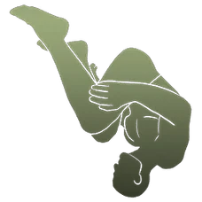 Backflip Emote