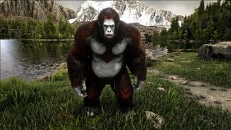 Alpha Gigantopithecus Official Ark Survival Evolved Wiki Survival evolved, the gigantopithecus eats regular kibble, titanoboa kibble, mejoberry, and berries. alpha gigantopithecus official ark