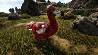 Alpha Dodo Official Ark Survival Evolved Wiki