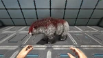 Dire Bear PaintRegion0