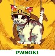 Pwnobi