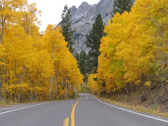 To get to the Mountain of October, you must survive the windy Road of September