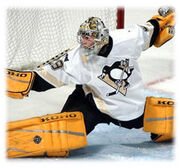Marc-Andre Fleury23.jpg