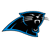 Panthers logo small