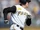 No Win(d)s For The Pirates' Ship